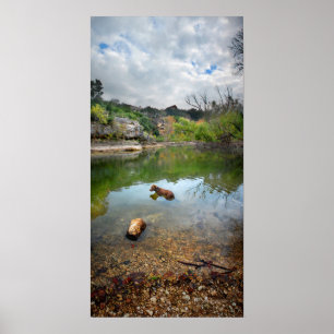 Dog swimming in Barton Creek - Austin Texas Poster