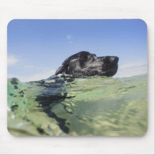 Dog swimming in water mouse mat