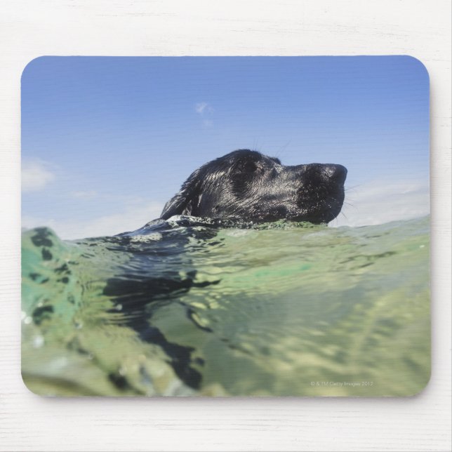 Dog swimming in water mouse mat (Front)