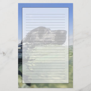 Dog swimming in water stationery