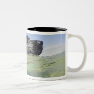 Dog swimming in water Two-Tone coffee mug
