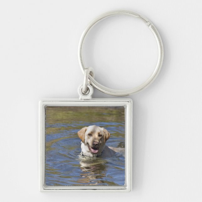 Dog swimming key ring (Front)