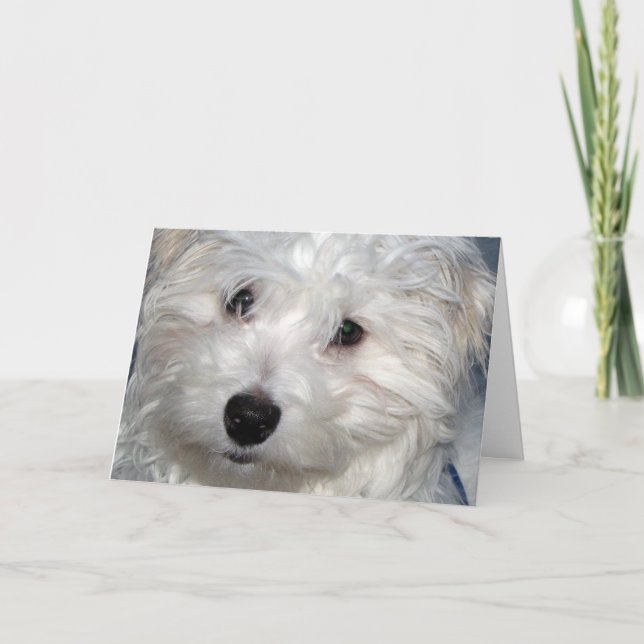 Dog Sympathy Card (Front)