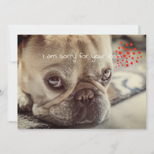 Dog Sympathy Card