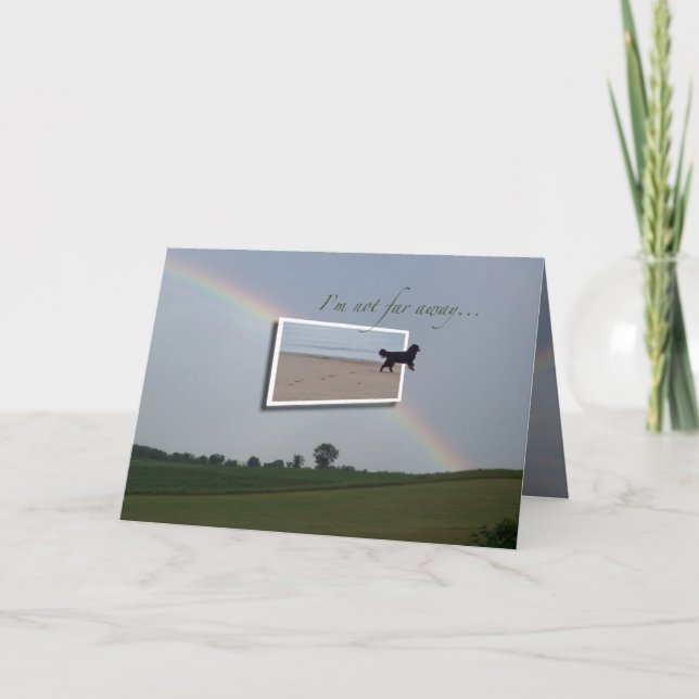 Dog Sympathy card (Front)
