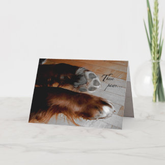 Dog Sympathy card