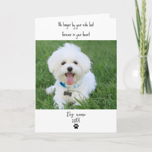 Dog Sympathy Card for Loss Memorial with photo
