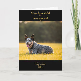 Dog Sympathy Card for Loss Memorial with photo