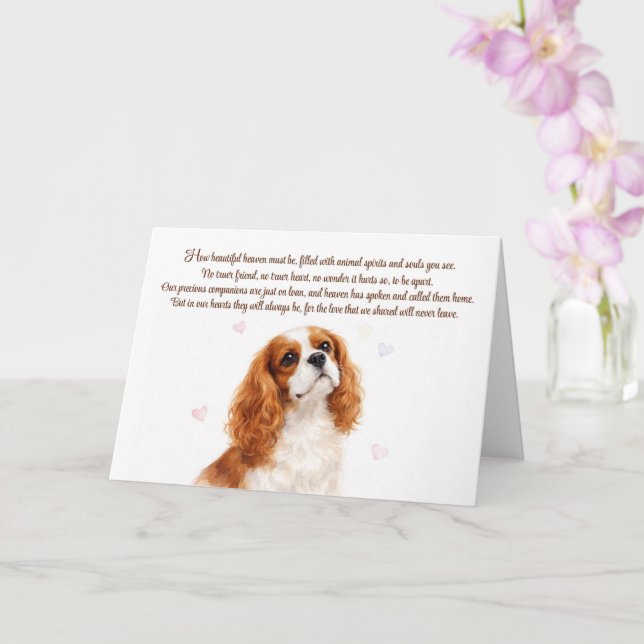 Dog Sympathy Cavalier King Charles Spaniel Card (Orchid)