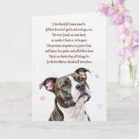 Dog Sympathy Pitbull Pitty Loss Spiritual