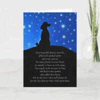 Dog Sympathy with Poodle Silhouetted and Spiritual