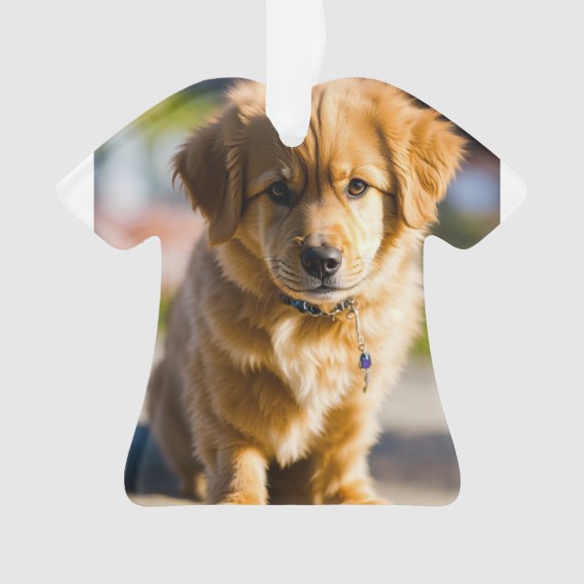 dog t shirt ornament (Front)