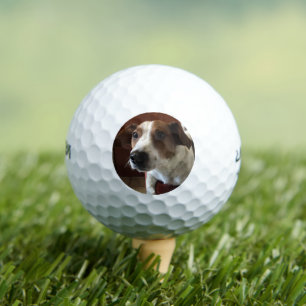 Dog Tamplate Golf Balls