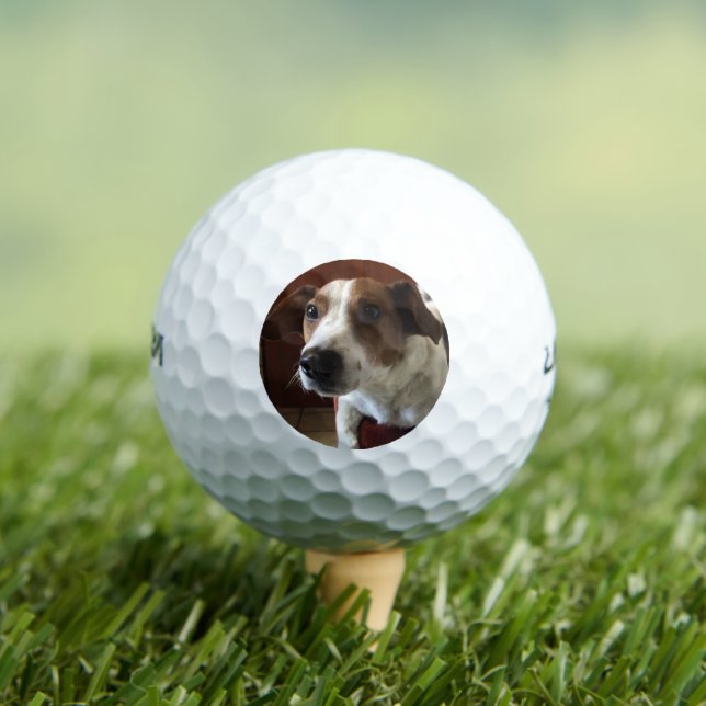 Dog Tamplate Golf Balls (Insitu Tee)