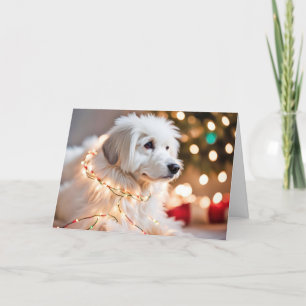 Dog Tangled In Holiday Lights Card
