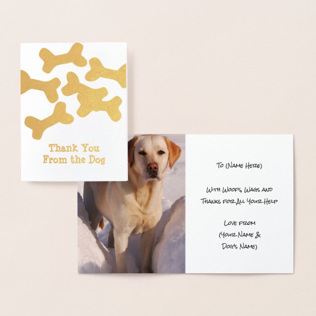 Dog Thank You - Add Pup's Photo Inside - Custom Foil Card (Display)
