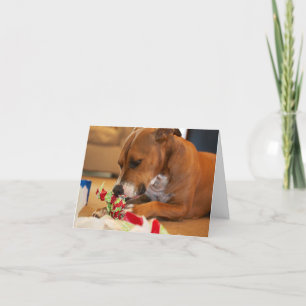 Dog Thank You Card