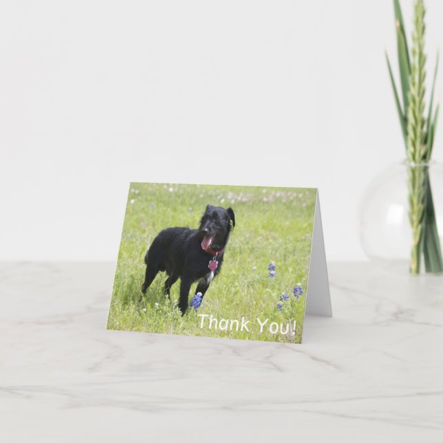 Dog Thank You Card (Front)