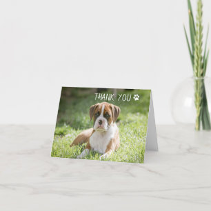Dog Thank You Cards - Boxer Dog