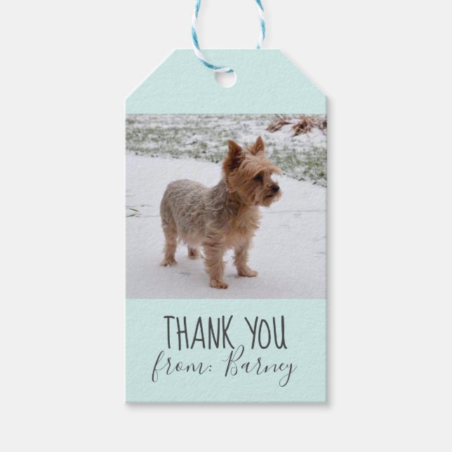 Dog Thank You Gift Photo Tags (Front)