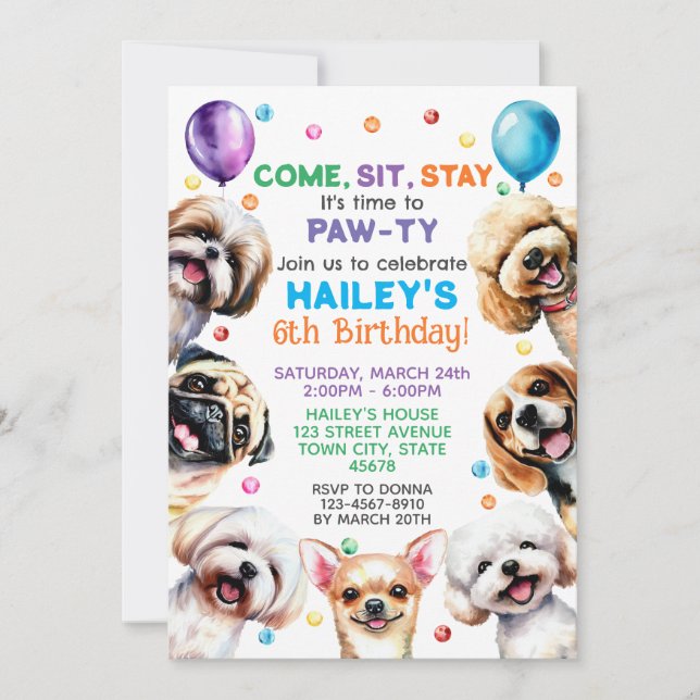 Dog Theme 6th Birthday Party Invitation (Front)