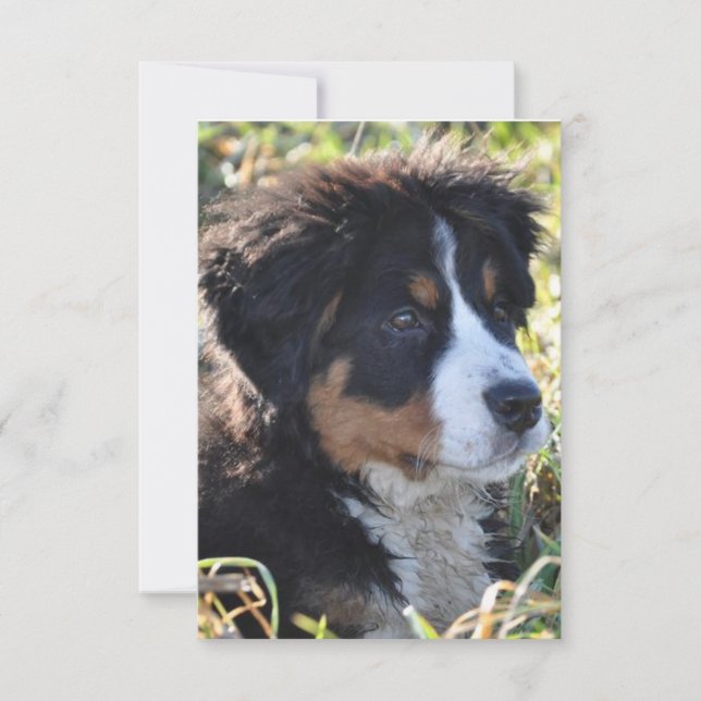 Dog Theme Thank you Card - Flat Thank You Card (Front)
