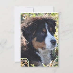 Dog Theme Thank you Card - Flat Thank You Card