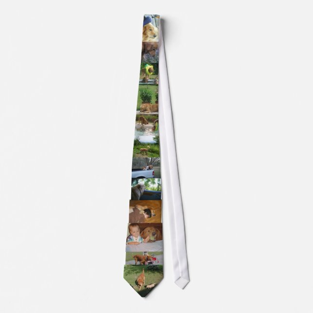 dog tie (Front)