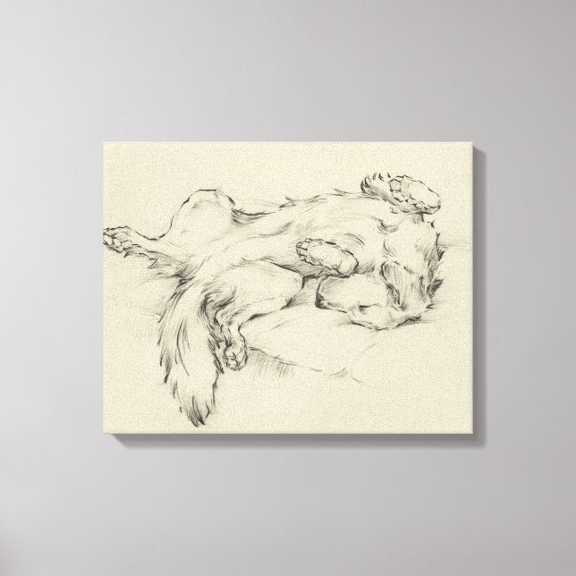 Dog Tired Canvas Print (Front)