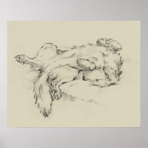 Dog Tired Poster