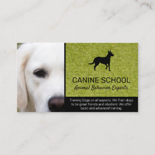 Dog Trainer   Animal Behaviour Business Card