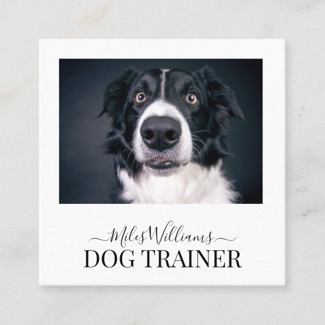 Dog Trainer Or Behaviorist Square Business Card (Front)