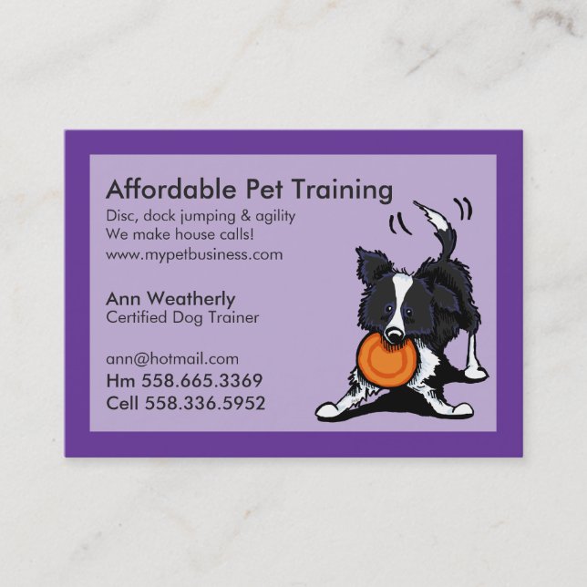 Dog Trainer Pet Training Border Collie Purple Business Card (Front)