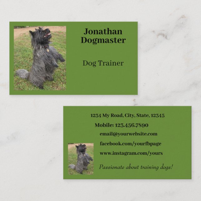 Dog Trainer Photo Green Background Minimal Business Card (Front/Back)