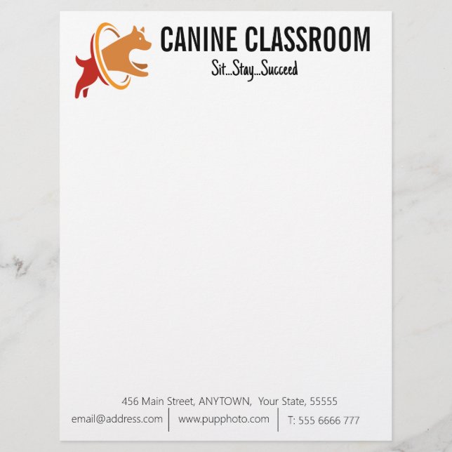 Dog Training Business Custom  Custom Letterhead (Front)