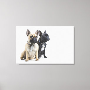 Dog training & obedience canvas print