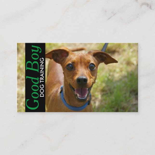 Dog Training Pet Sitting Walker Business Card (Front)