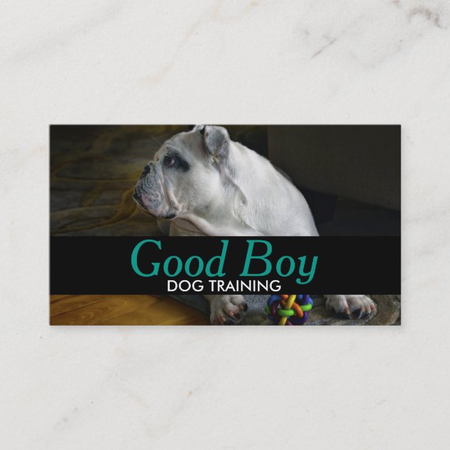 Dog Training Pet Sitting Walker Business Card (Front)