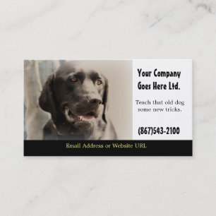 Dog Training Services Business Card