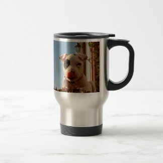 dog travel mug