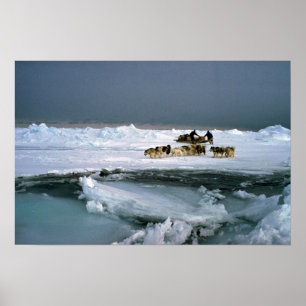 Dog travel on ice, Ellesmere Island, Northwest Ter Poster