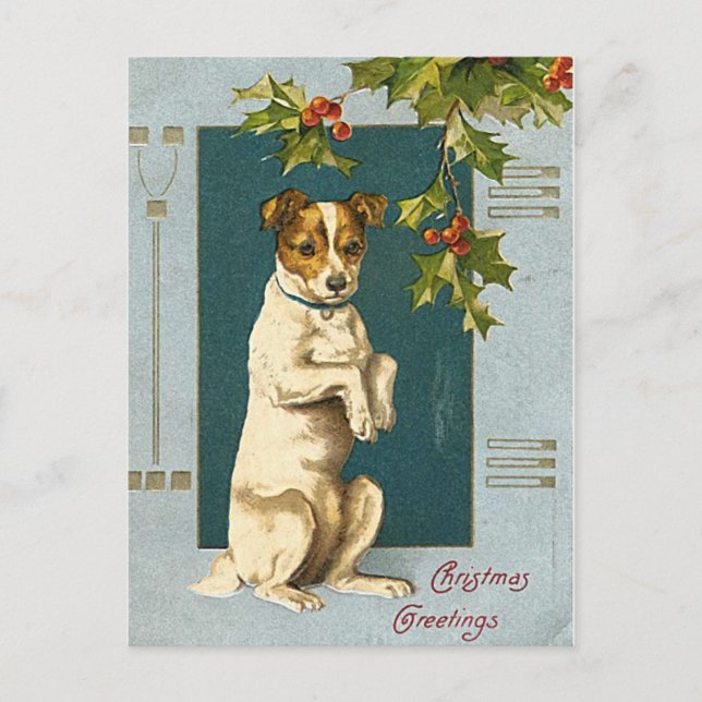 Dog under a holly branch -vintage christmas card (Front)