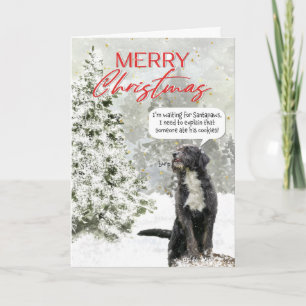 Dog Waiting for Santa Funny Christmas Card