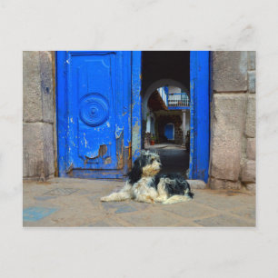Dog Waiting in Front Of Blue Door, Cusco, Peru Postcard