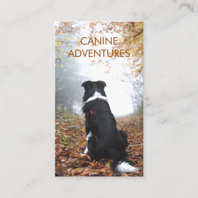 Dog Walker Adventure Walks And Hikes Business Card (Front)