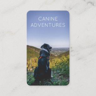 Dog Walker Adventure Walks And Hikes Business Card