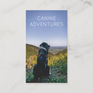 Dog Walker Adventure Walks And Hikes Business Card