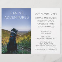 Dog Walker Adventure Walks Hikes