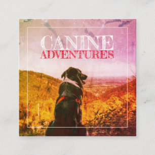 Dog Walker And Dog Adventures Textured Glow Square Business Card