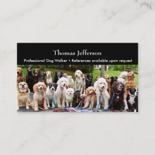 Dog walker Business Card